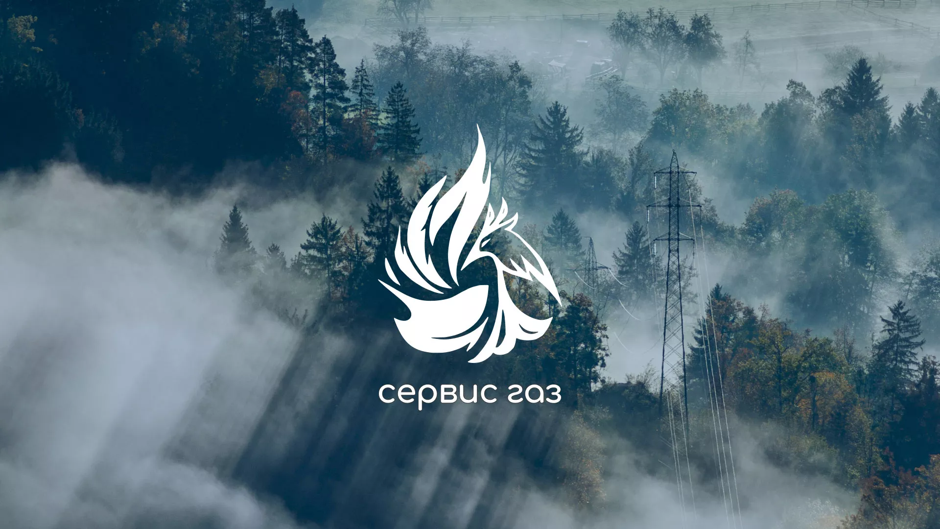 Создание сайта компании «Сервис газ» в Богородске