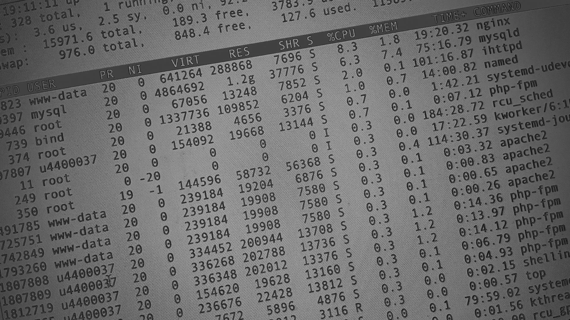 Настройка сервера в Богородске