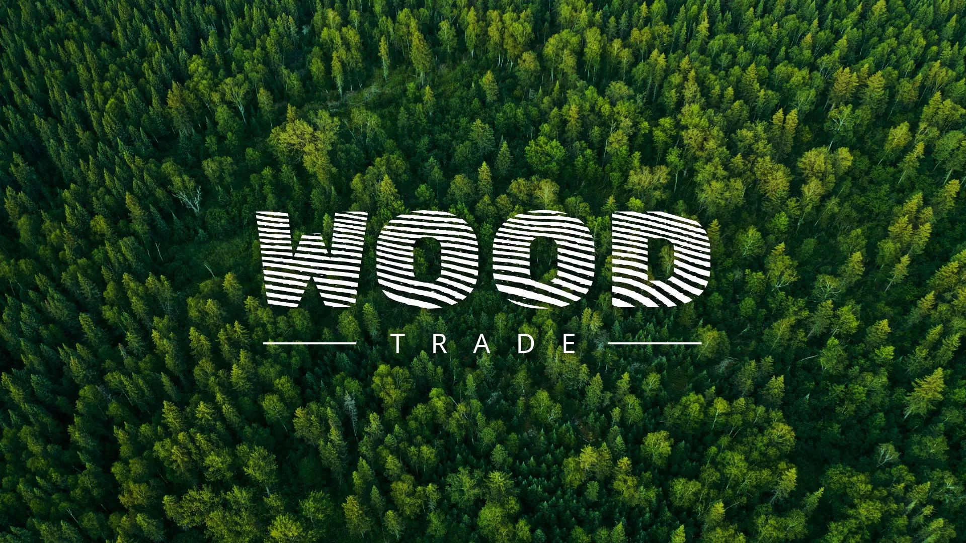 Разработка интернет-магазина компании «Wood Trade» в Богородске