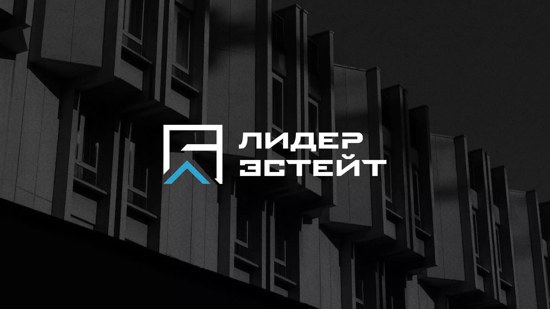 Разработка логотипа агентства недвижимости «Лидер Эстейт» в Богородске