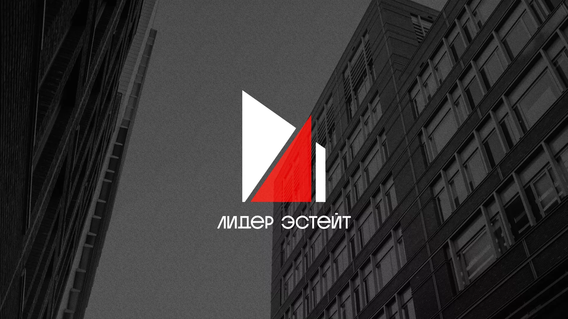 Сделали логотип для агентства недвижимости «Лидер Эстейт» в Богородске